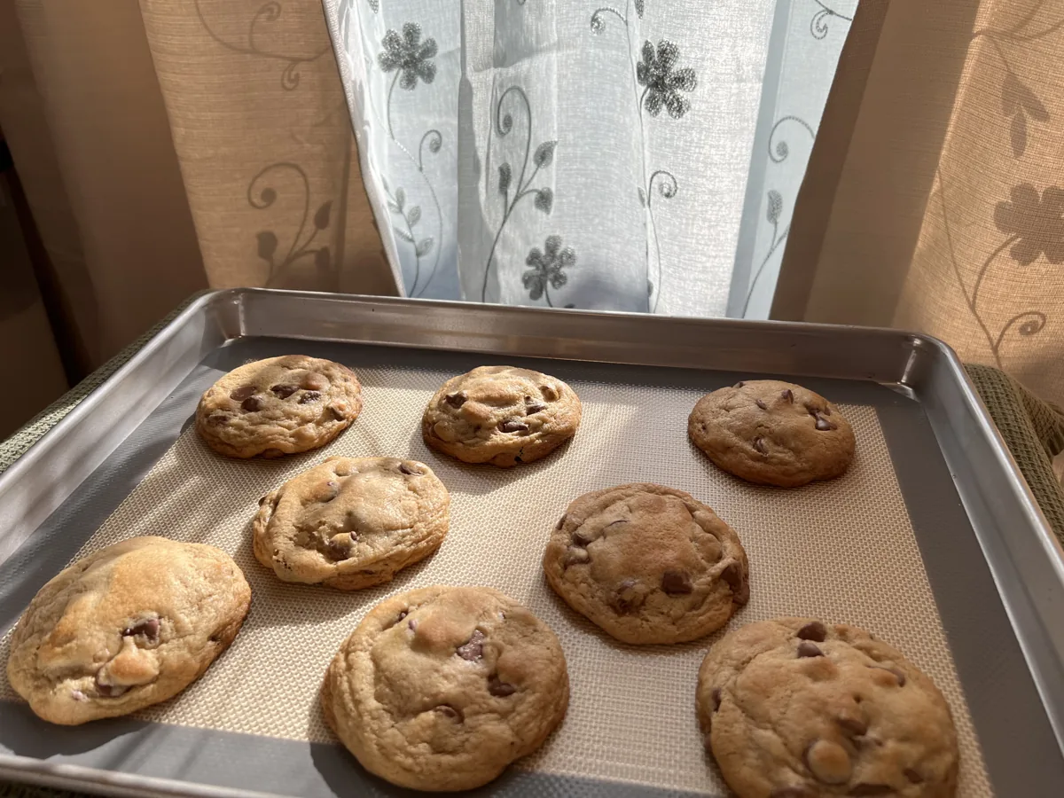 Freshly baked chocolate chip cookies on a tray